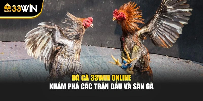 Đá Gà 33win Online - Khám Phá Các Trận Đấu Và Sàn Gà