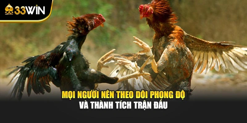 Mọi người nên theo dõi phong độ và thành tích trận đấu